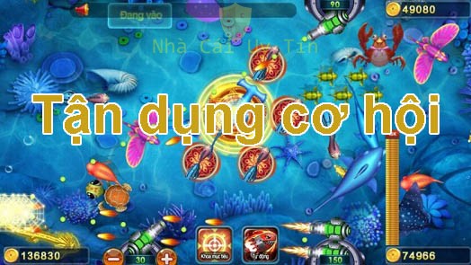 Hãy luôn biết cách tận dụng cơ hội để tiêu diệt mục tiêu